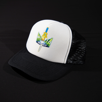Ninja We Made It. "Official Logo" Cap