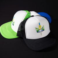 Ninja We Made It. "Official Logo" Cap